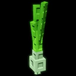 Spring Onion