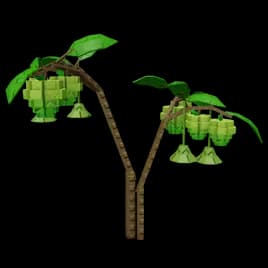 Sugar Apple Plant