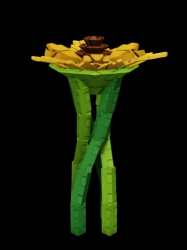 Suncoil Plant