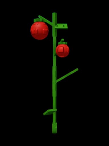 Tomato Plant