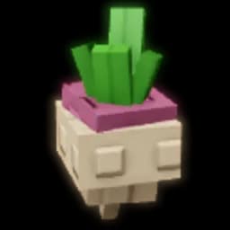Turnip Produce