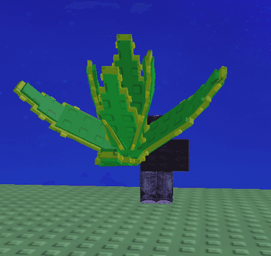 Aloe Vera Produce