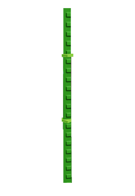 Bamboo Produce