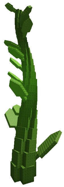 Beanstalk Plant