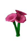 Bee Balm Produce