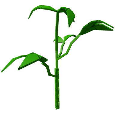Bell Pepper Plant