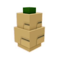 Butternut Squash Seed