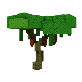 Cacao Plant