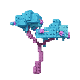 Candy Blossom Plant