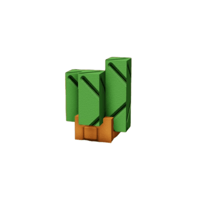 Carrot Plant