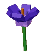 Crocus Produce