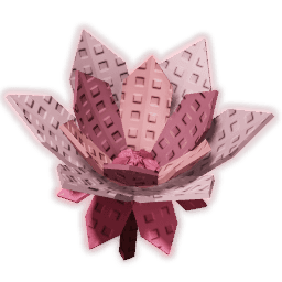 Cyclamen Produce