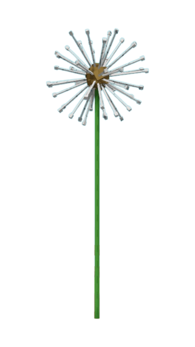 Dandelion Plant