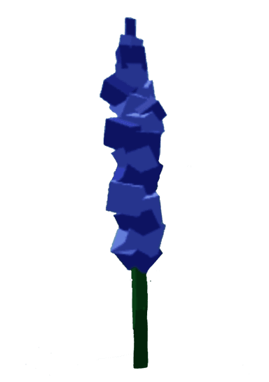 Delphinium Produce