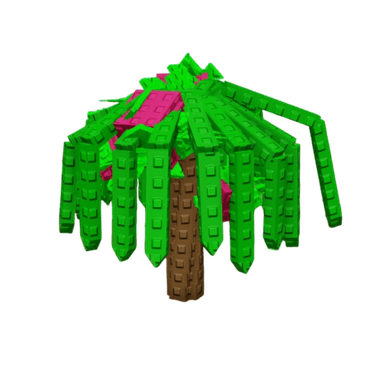 Dragon Fruit Plant