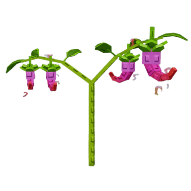 Dragon Pepper Plant