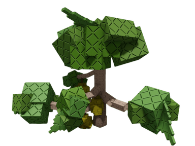 Durian Plant