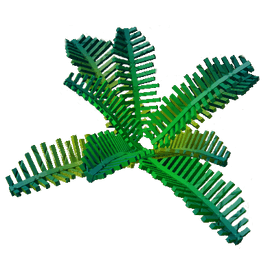 Firefly Fern Plant