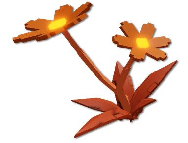 Flare Daisy Plant