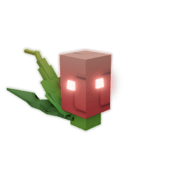 Flare Melon Seed