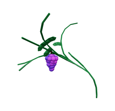 Grape Plant