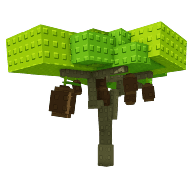 Kiwi (Crop) Plant