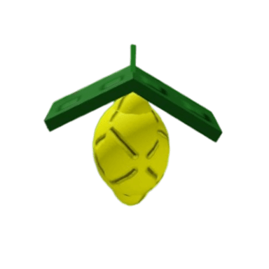 Lemon Produce