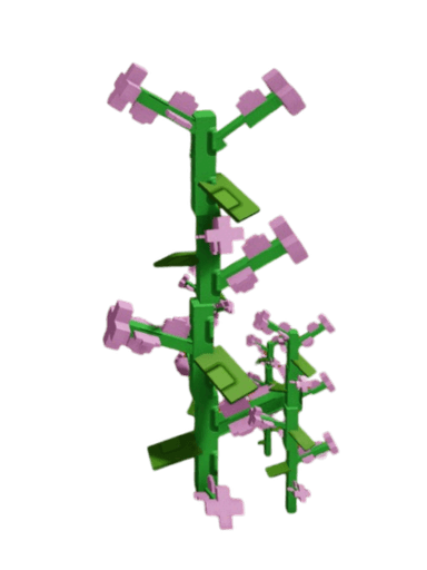 Lilac Plant