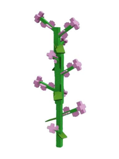Lilac Produce