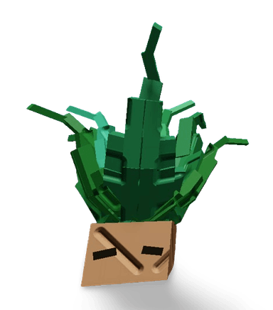 Mandrake (Crop) Plant