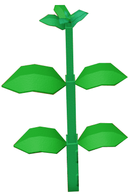 Mint Plant