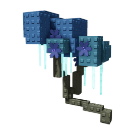 Moon Blossom Plant