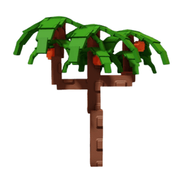 Nectarine Plant