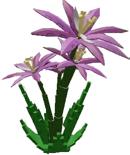 Paradise Petal Plant