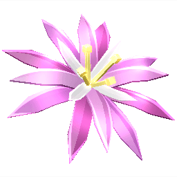 Paradise Petal Produce