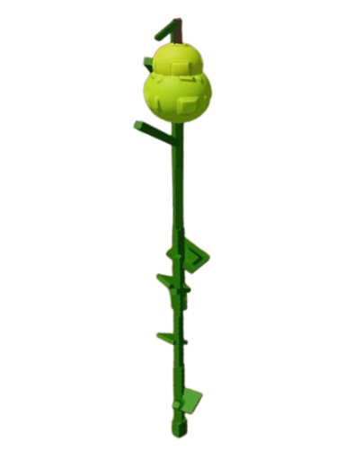 Pear Plant