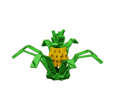 Pineapple Plant
