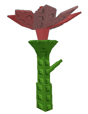 Pink Lily Plant