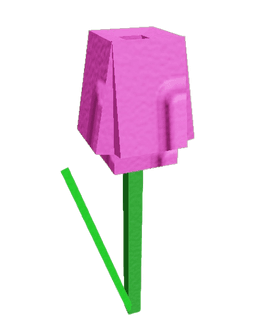 Pink Tulip Plant