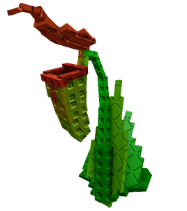 Pitcher Plant Plant