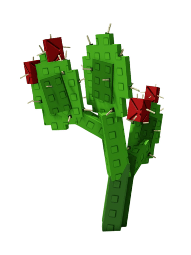 Prickly Pear Plant