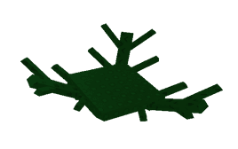 Princess Thorn Plant