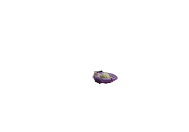 Purple Cabbage Produce