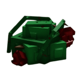 Rose Plant