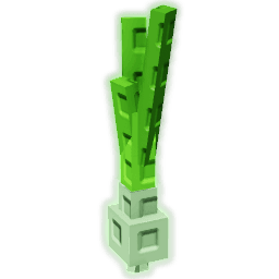 Spring Onion