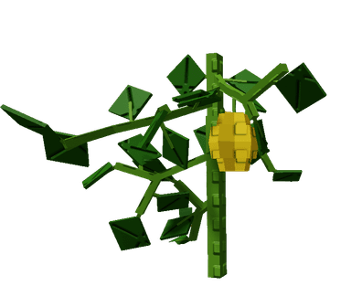 Starfruit Plant