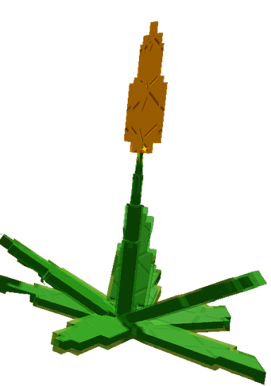 Succulent Plant