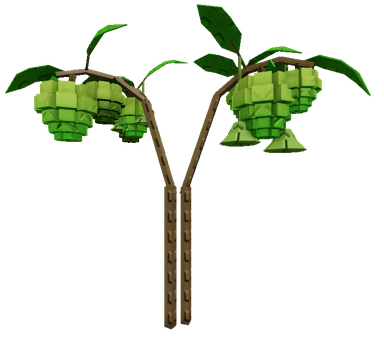Sugar Apple Plant