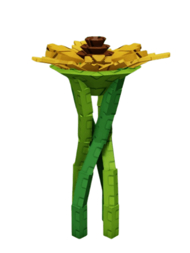 Suncoil Plant