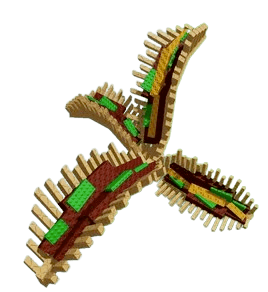 Taco Fern Produce